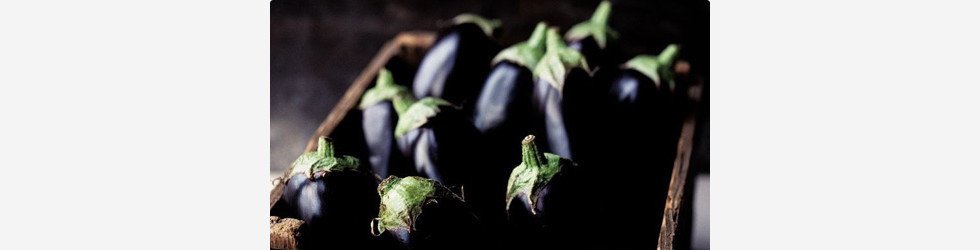 Aubergine
